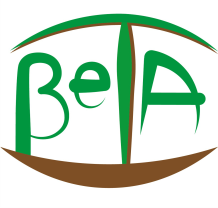 Arca Beta Peru