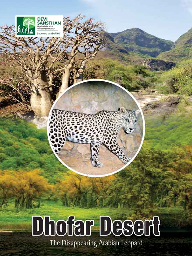 Dhofar desert